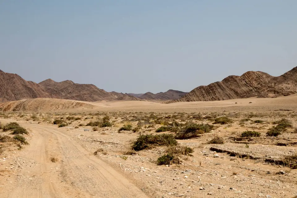 7-namiba-2017-5228.jpg