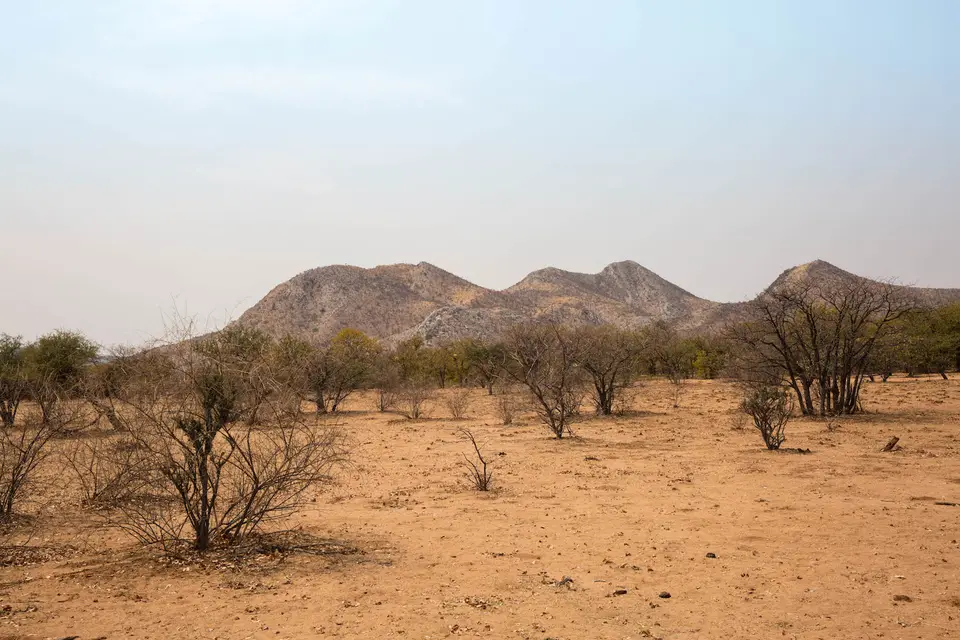 7-namiba-2017-9238.jpg
