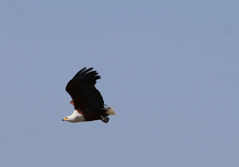 8-IMG_4122.JPG