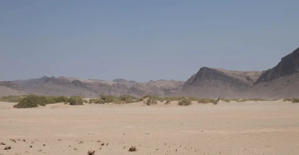 8-namiba-2017-5148.jpg