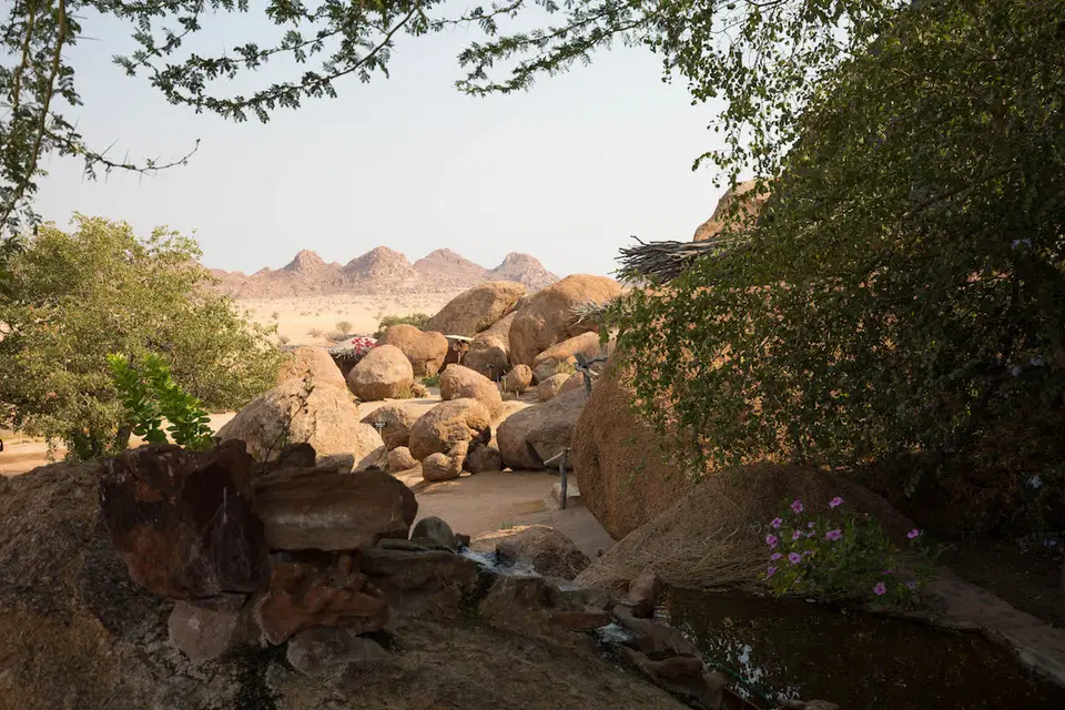 8-namiba-2017-8524.jpg
