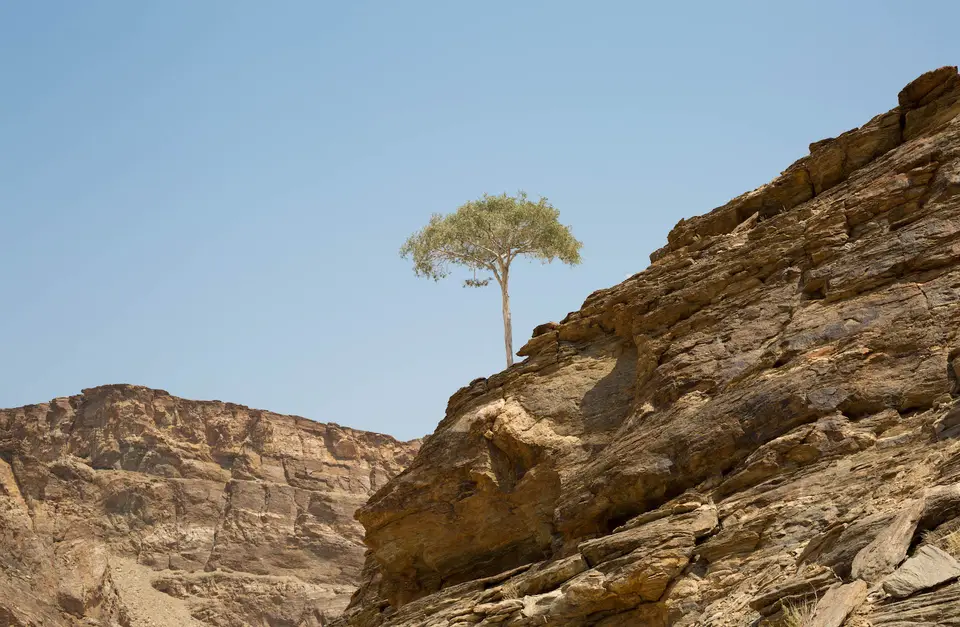 8-namiba-2017-8581.jpg