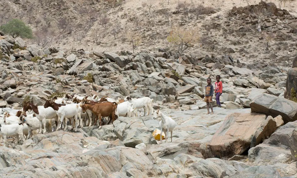 8-namiba-2017-8983.jpg