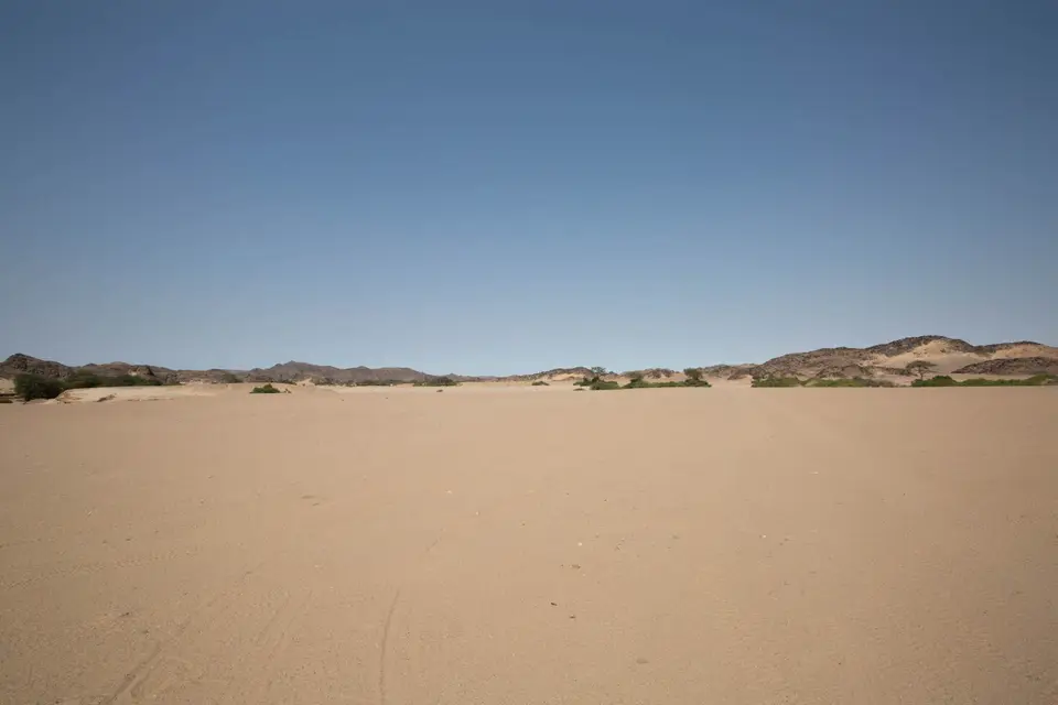 9-namiba-2017-8681.jpg