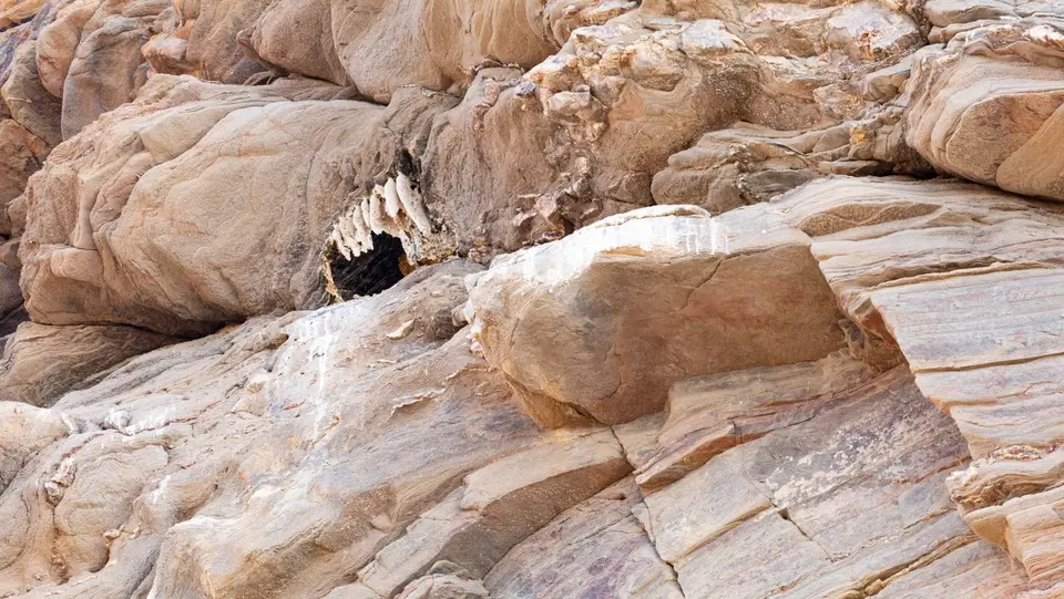 waben-0302.jpg