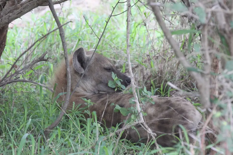 he70d931.JPG