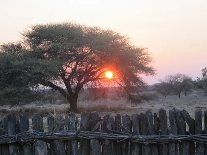 h4f61643.JPG