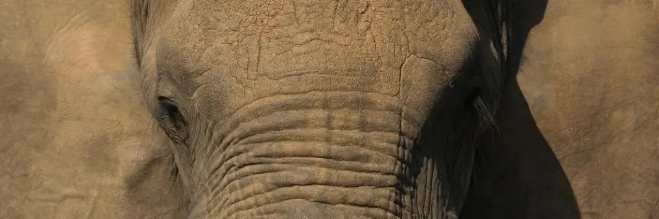 h4898921.JPG