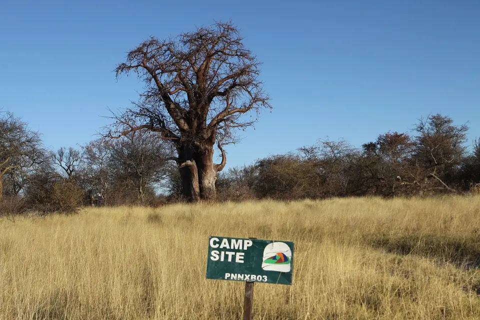 BaobabCamp3_2012-09-29.jpg