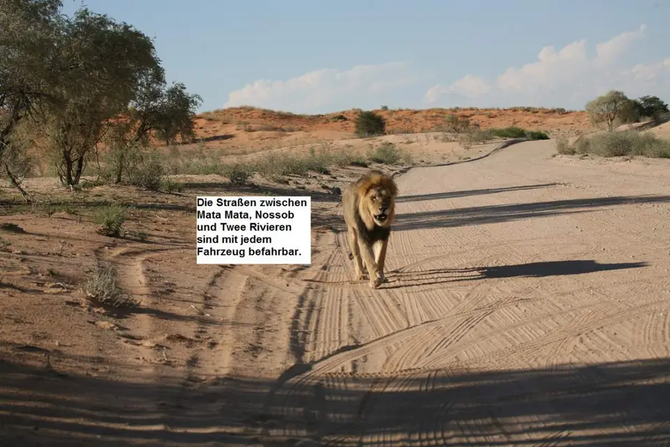 Strasse01.jpg