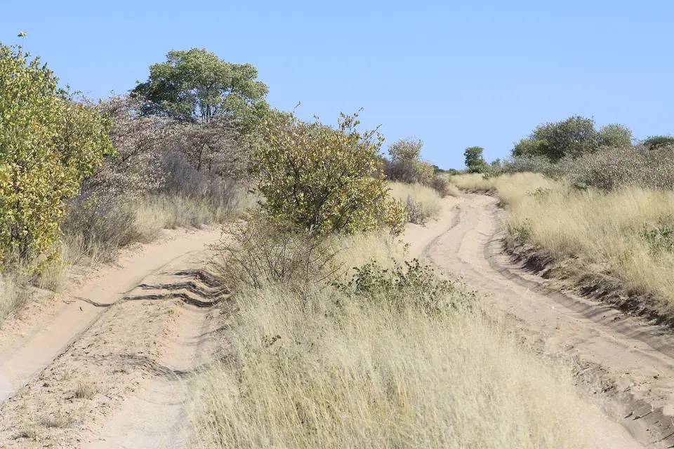 Two_Spoor_Road.jpg