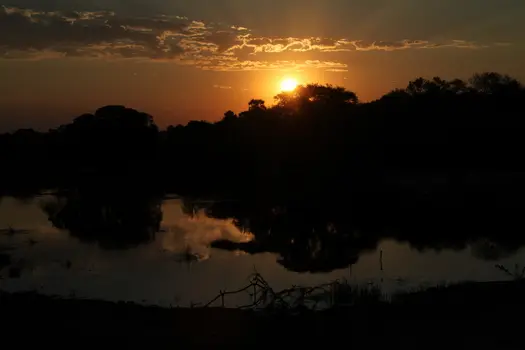 h17a7f32.JPG