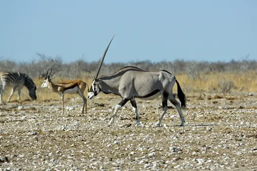 hb4497ac.JPG