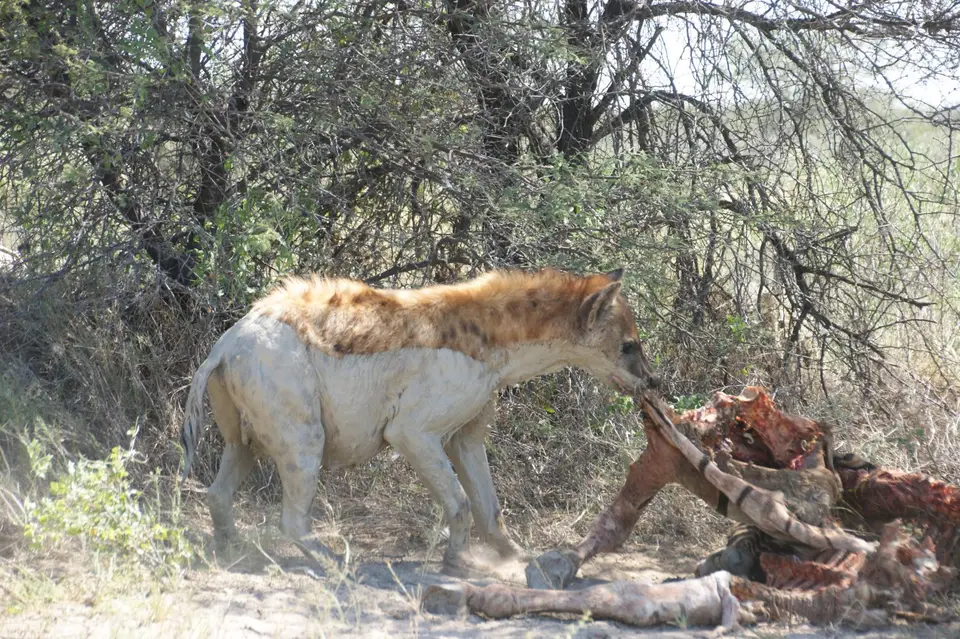 Namibia20151131.jpg