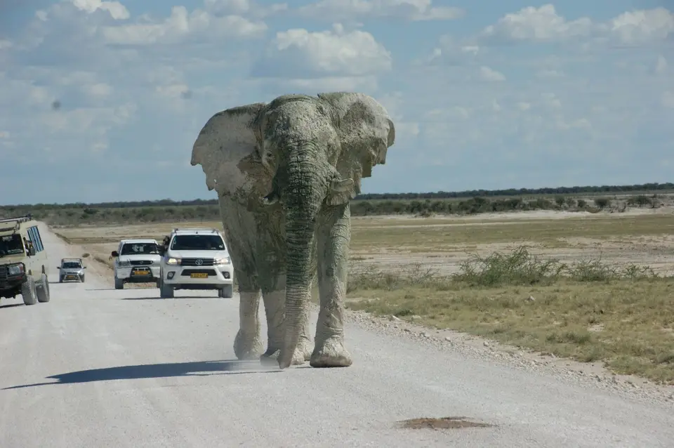 Namibia2019_0390.JPG