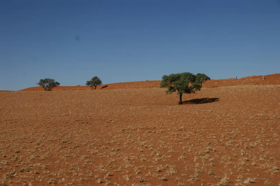 Namibia2019_0863.JPG