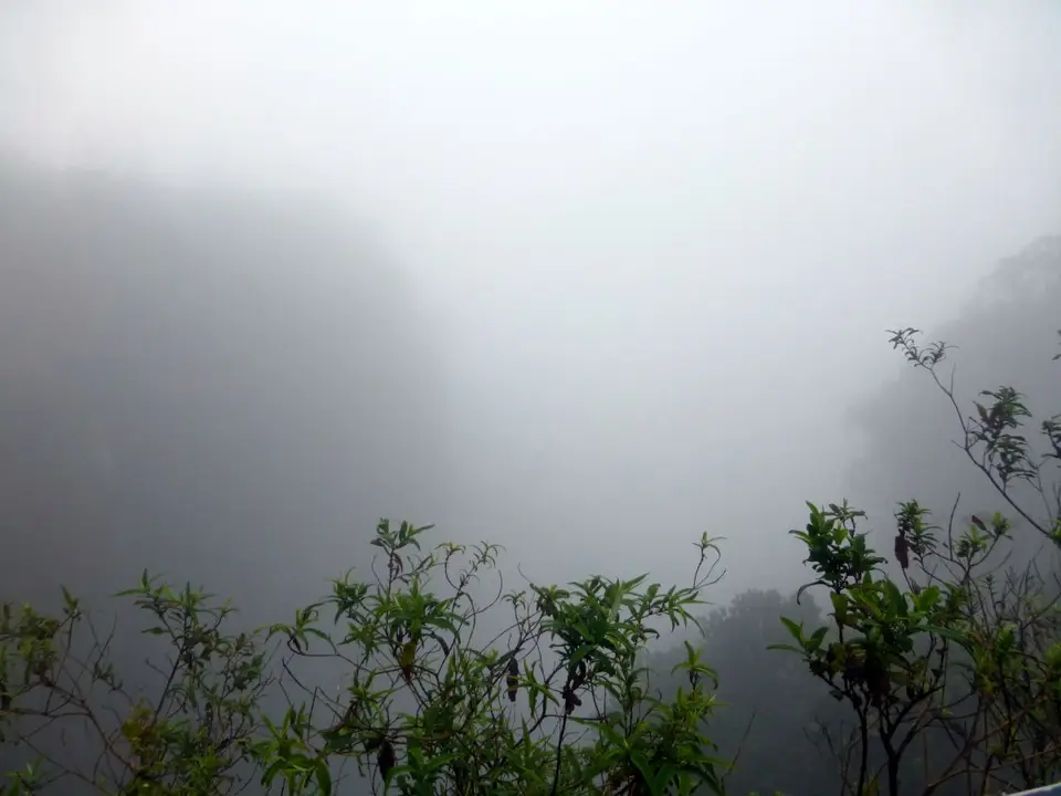 P1020021.JPG