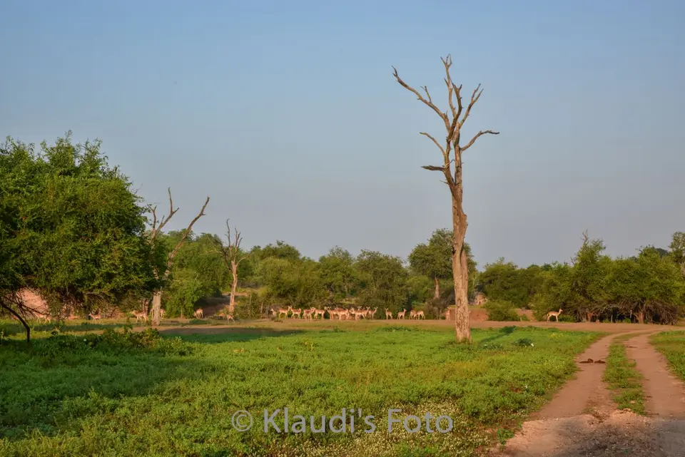 PKH_1030-2.jpg