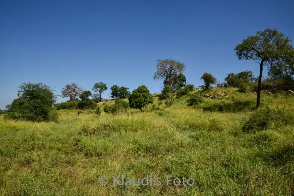 PKH_1300.jpg