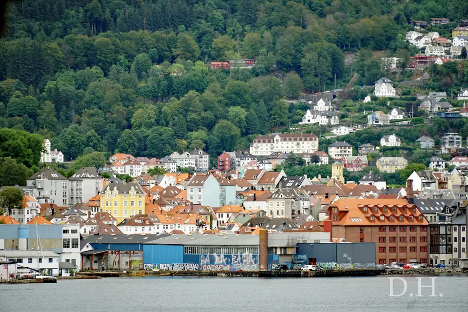 114-2.jpg