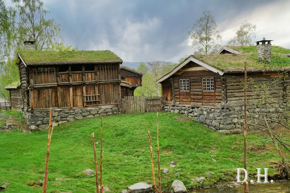 139.jpg