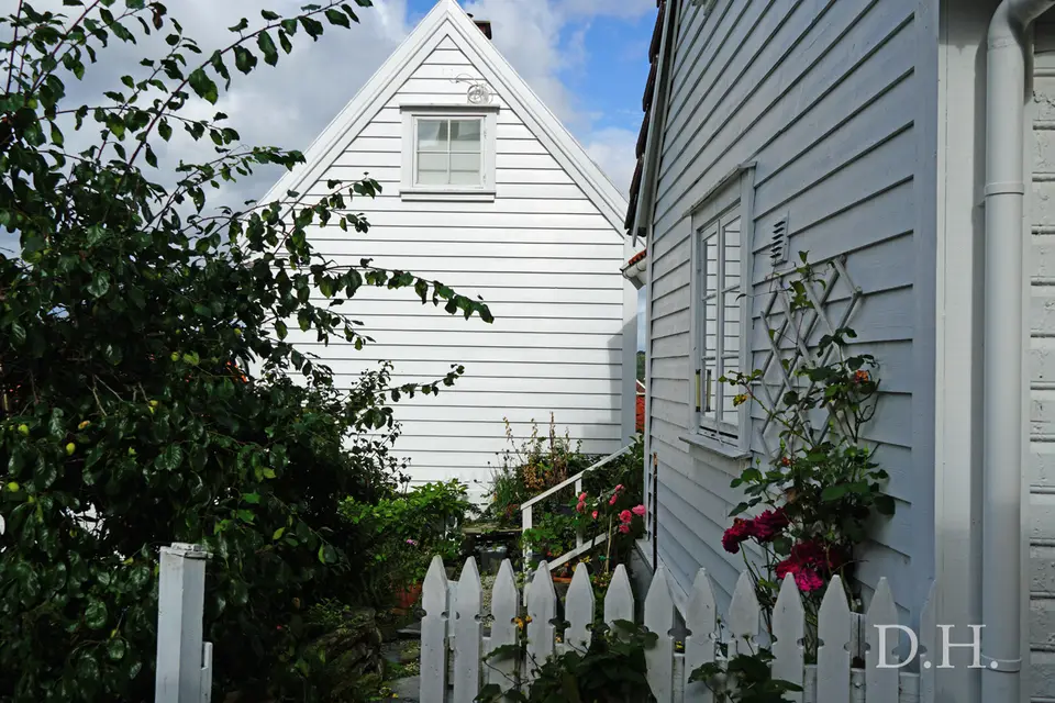 146-2.jpg