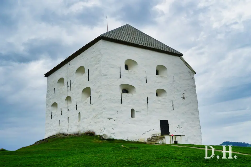161.jpg