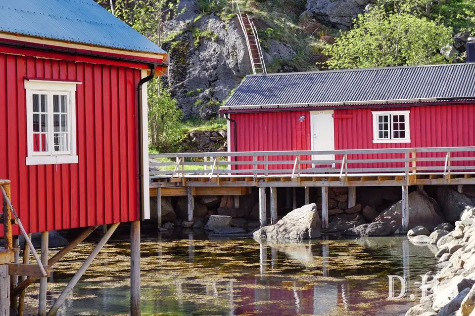 228.jpg