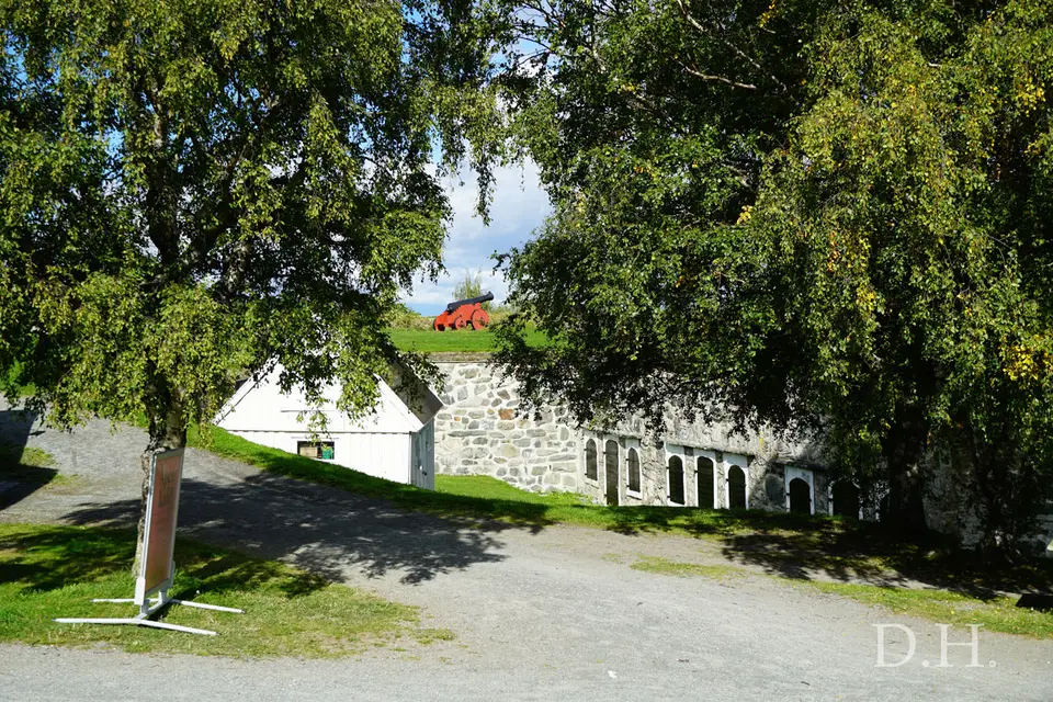 DSC05868.jpg