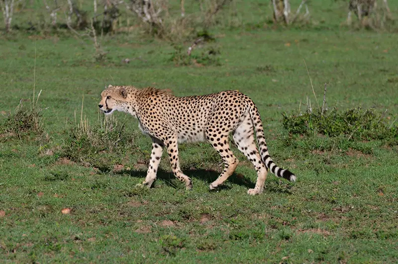 h29680c0.jpg