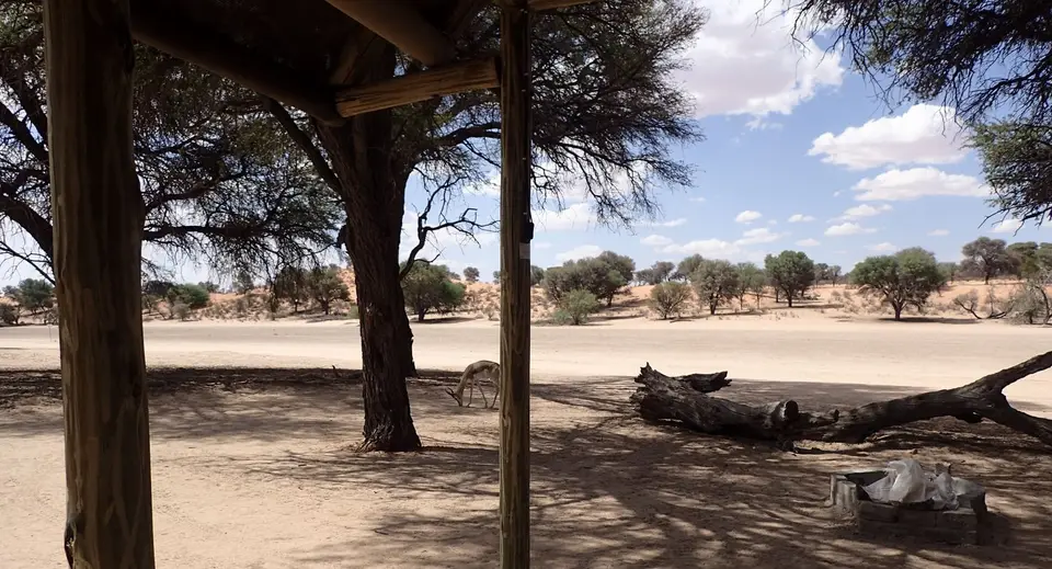 AussichtKalahariLöwenCamp.JPG