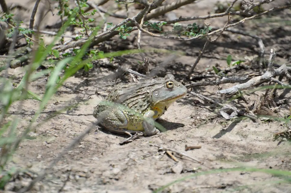 DSC_8099.JPG