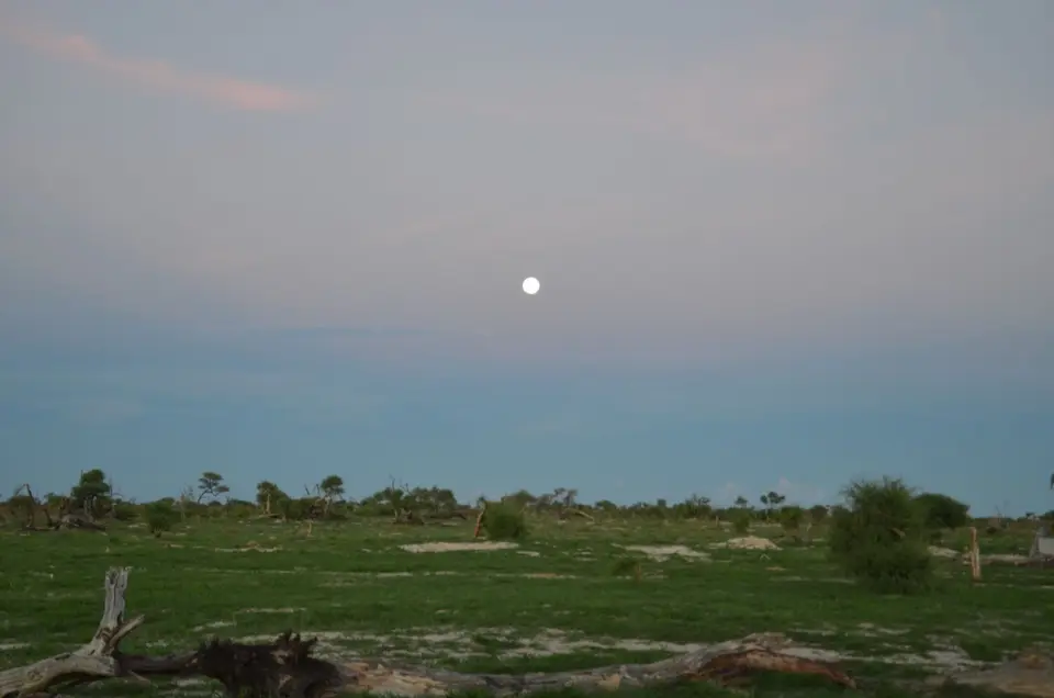 DSC_8185.JPG