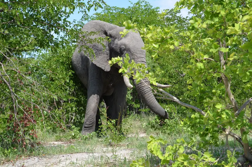 DSC_8504.JPG