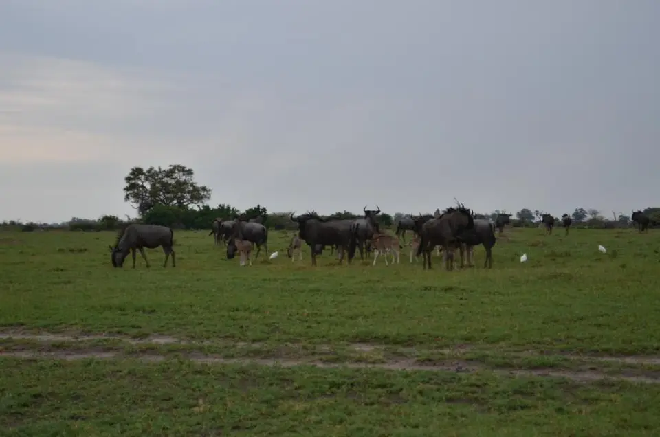 DSC_8847.JPG