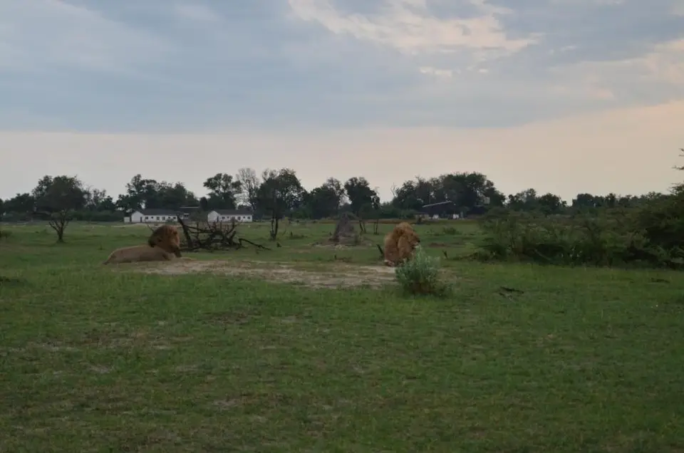 DSC_8872.JPG