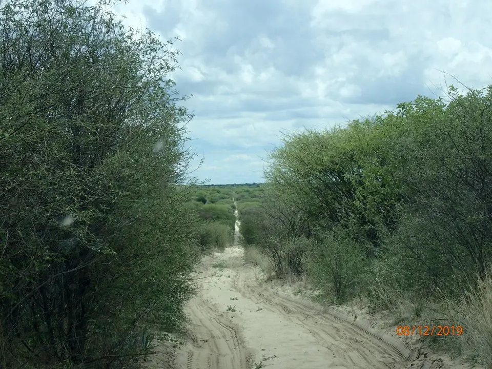 PC080240.JPG