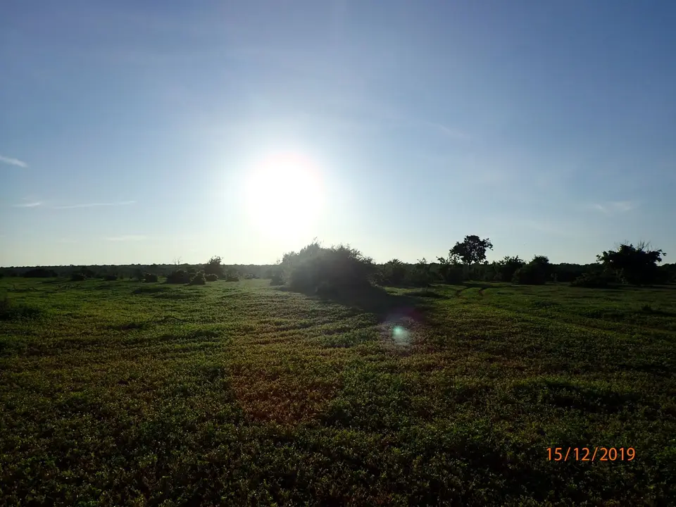 PC150497.JPG