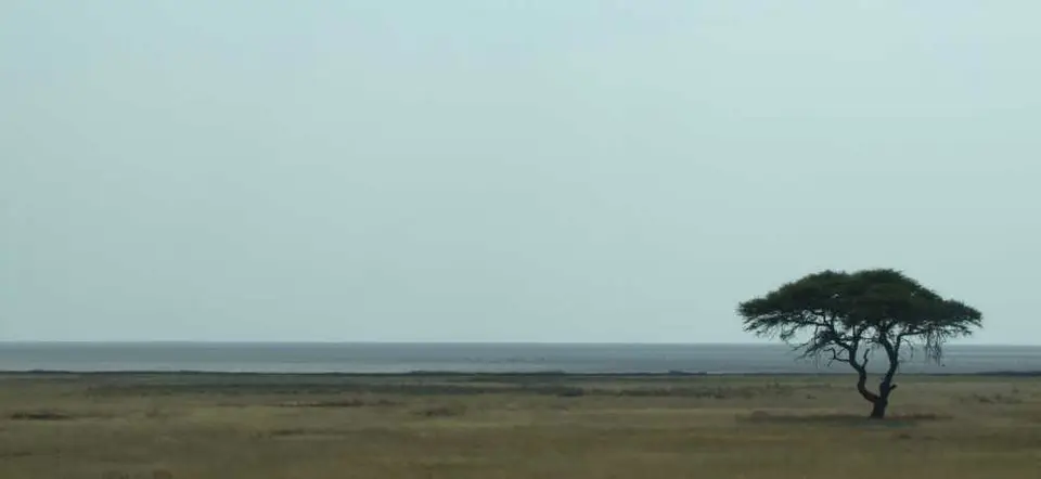 08WaytoNamutoni_00021.jpg