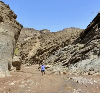 h01383ac.jpg