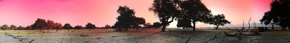 h3b1a7c1.jpg