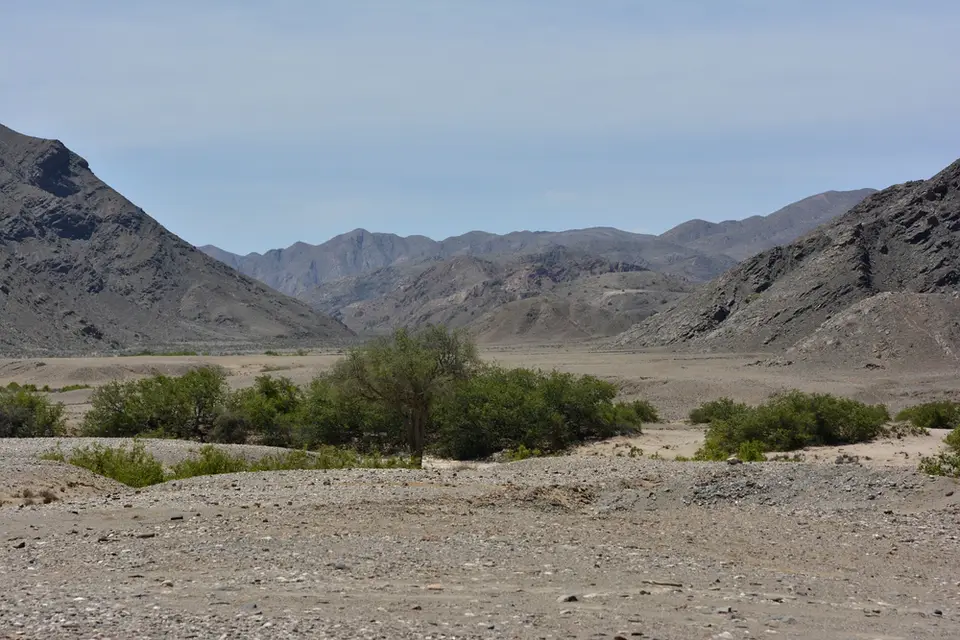 h6c10905.jpg
