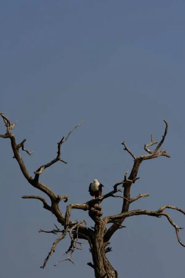 h7b709f4.JPG