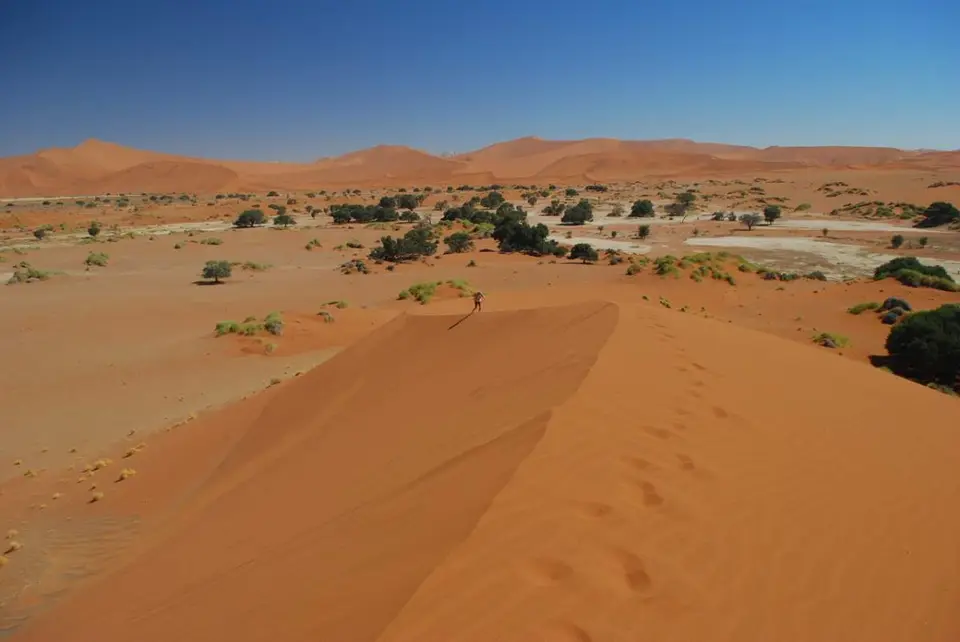 DSC_5097.jpg