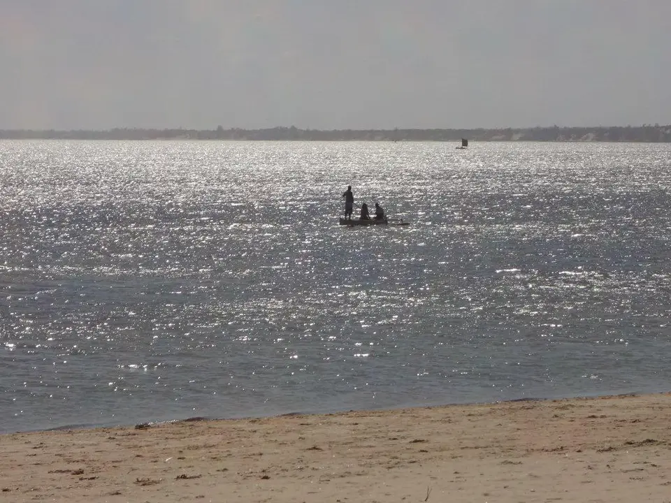 DSC01601.jpg