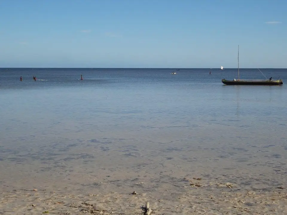 DSC02139.jpg