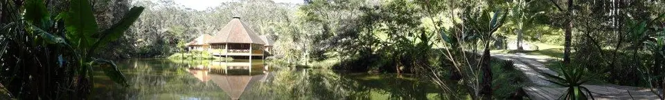 DSC02608.jpg