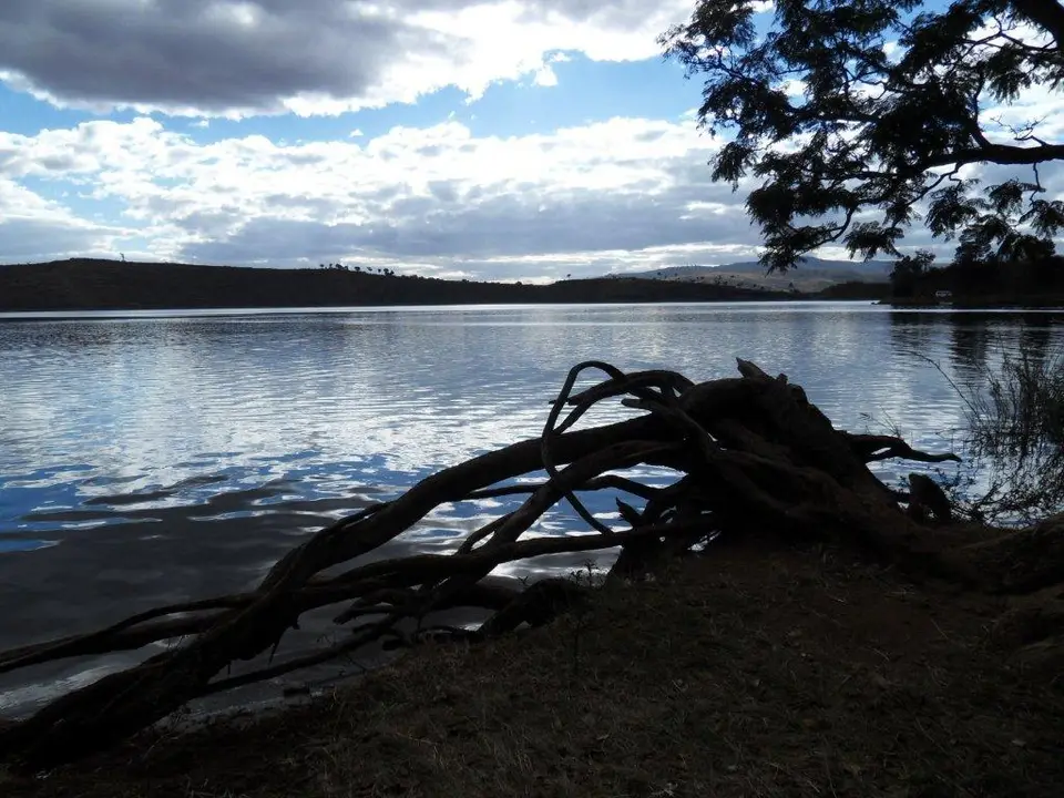 SDC15961.jpg