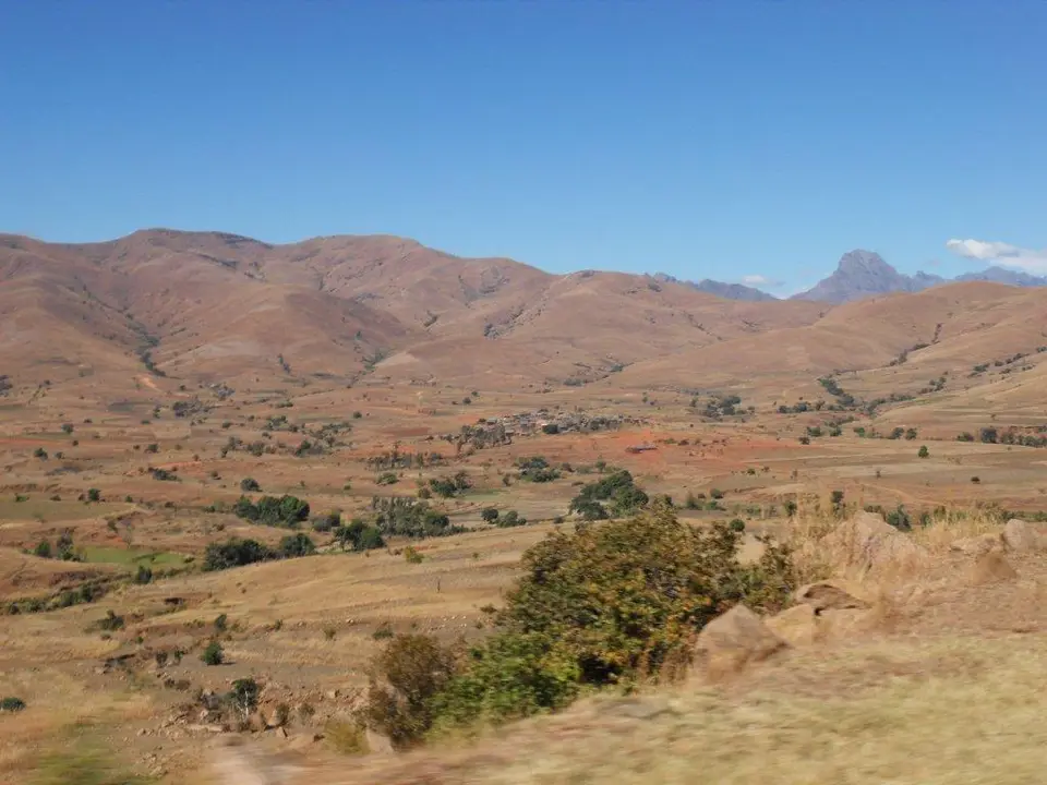 SDC16526.jpg