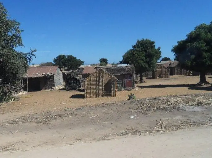SDC16859.jpg